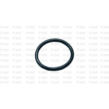 O-ring